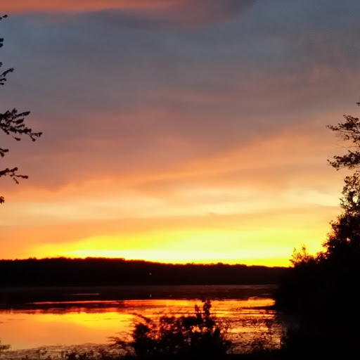 Freddy Hall avatar image