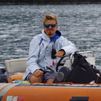 Dario Gerosa avatar image
