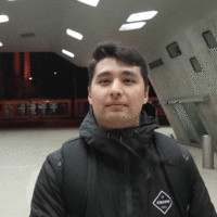 Hassan Mirzaee avatar image