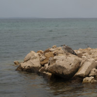 Joanna Wolny avatar image