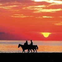 Nadia Hassan avatar image