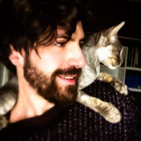 Giuliano Gambacorta avatar image