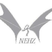 Niels Zeiler avatar image