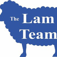 Vic Lam avatar image