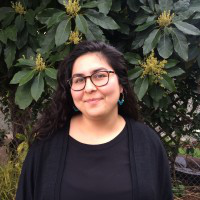 Minna Toloui avatar image