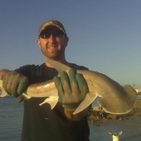 Lew Barnett avatar image