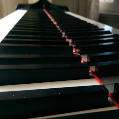 Elena Holbrook avatar image