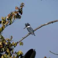 Jane Devoe avatar image