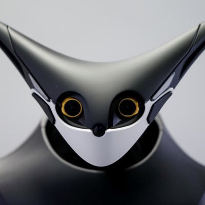 Kris Hyman avatar image