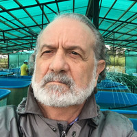 Mark Zaslavsky avatar image