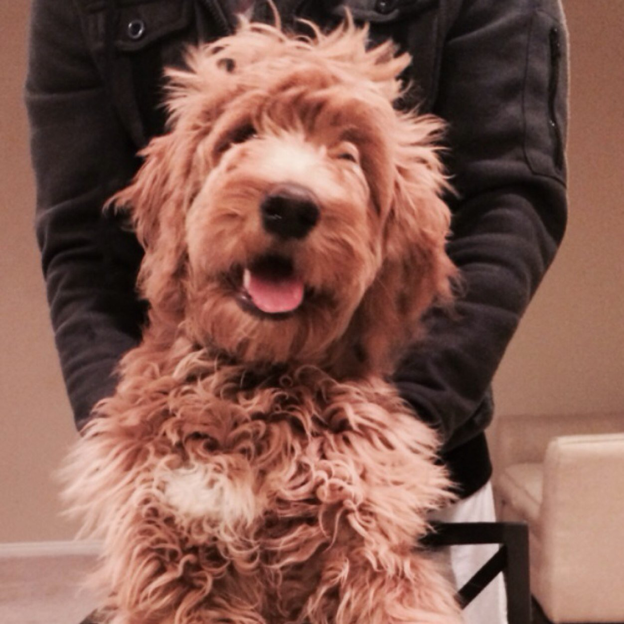 Keely Spencer avatar image