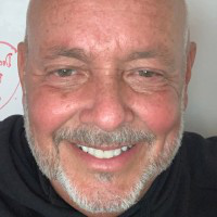 Stuart Lion avatar image