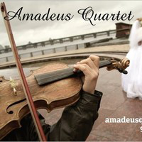 Amadeus Conservatory of Music avatar image