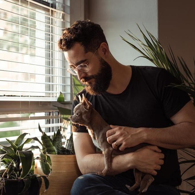 Alexander D. avatar image