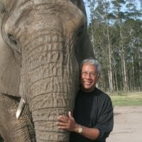 Peter Joshua avatar image