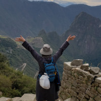 Ann Ghazy avatar image