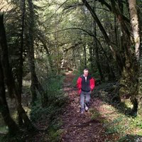 Gerard Simonet avatar image