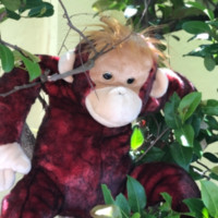 Ernesto Cruz avatar image