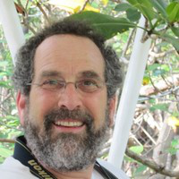 David Lowe avatar image