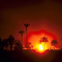 Marrakech Tours avatar image