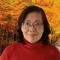 Wendy Xu avatar image