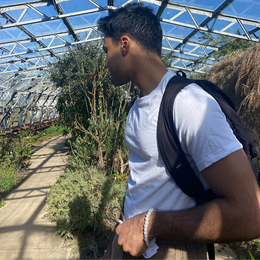 Luv  Gupta avatar image