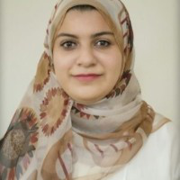 Sarah Shokr avatar image