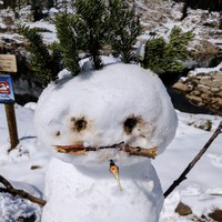 Pavel Strashkin avatar image