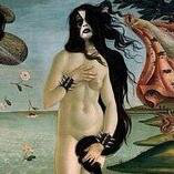 Shannon Cavanagh-Druhm avatar image