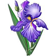 Kathie Cayton avatar image