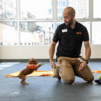 Joel Lopez avatar image