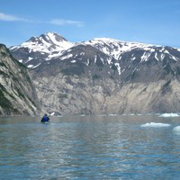 Rob Dreyer avatar image