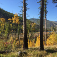 Jen Stephens avatar image