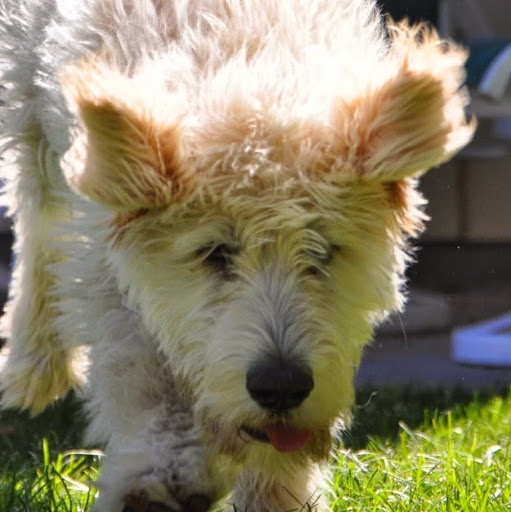 Matthew Libby avatar image