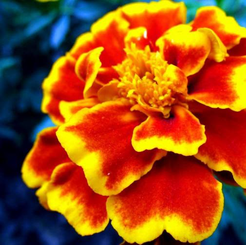 Taylor Roberts avatar image