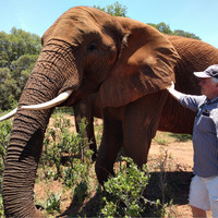 Christopher Wilson avatar image