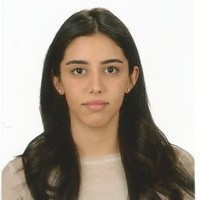 Deniz Berk avatar image