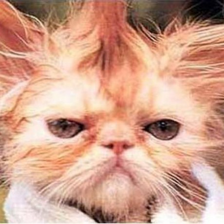 Kjetil Barnung avatar image