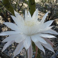 Gomati Wilson avatar image