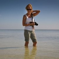 Debi Wilkey avatar image