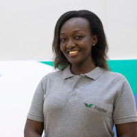 Sylvia Uhirwa avatar image