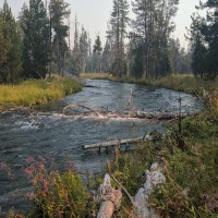 Matthew Evans avatar image