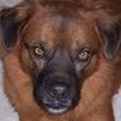 Heidi Norris avatar image