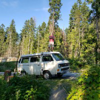 Steve Lima avatar image