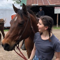 Kate Vickery avatar image