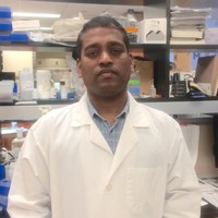 Senthil Krishnaswamy avatar image