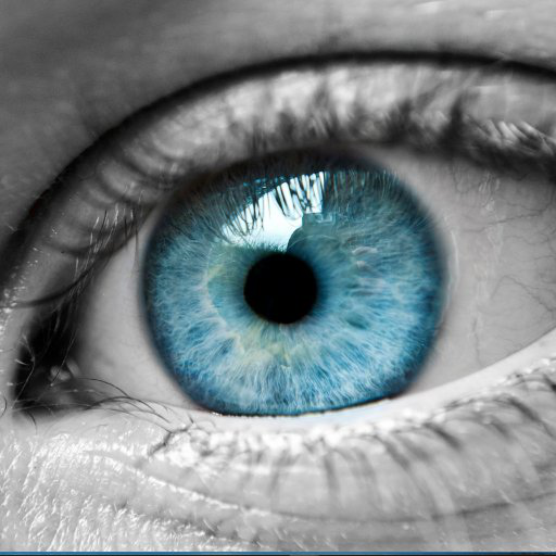 Jeff Wiedner avatar image