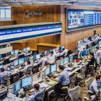 Pedro Rodrigues avatar image