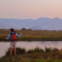 Sean Solomon avatar image