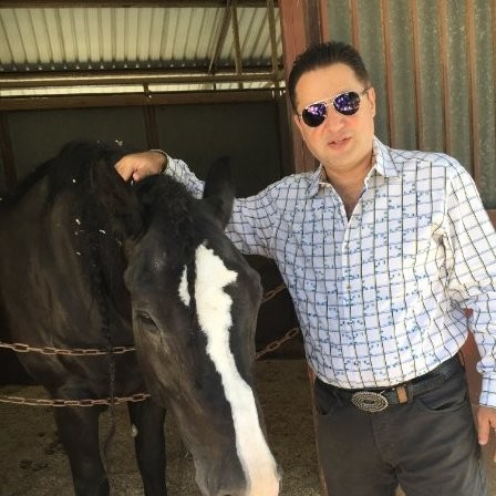 Aneis Zoreik avatar image